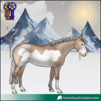 Horse Color:Silver Brown Dun Frame Rabicano
