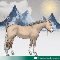 Horse Color:Silver Bay Dun 
