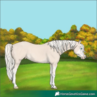 Horse Color:Cremello Splash  and Cremello Splash 