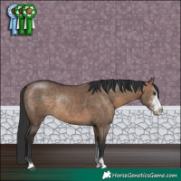 Horse Color:Brown Dun Sabino Rabicano 