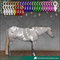 Horse Color:White Spotted Smoky Grullo Varnish 