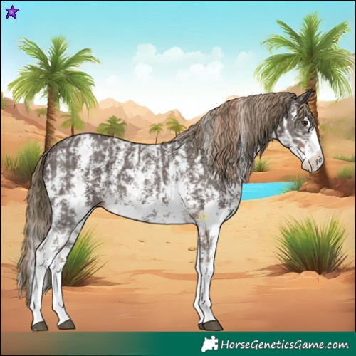 Horse Color:Liver Chestnut Sabino Splash Near Leopard and Liver Chestnut Sabino Splash