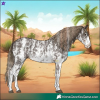 Horse Color:Liver Chestnut Sabino Splash Near Leopard  and Liver Chestnut Sabino Splash 