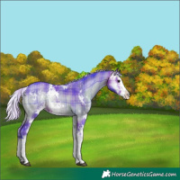 Horse Color:Watercolor Plaid Silver Brown Onyx Sabino