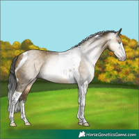Horse Color:Gray White Spotted Sable Cream Champagne Tobiano 