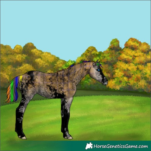 Horse Color:Void Painted Plaid Buckskin Ice Onyx Splash Tobiano Rabicano