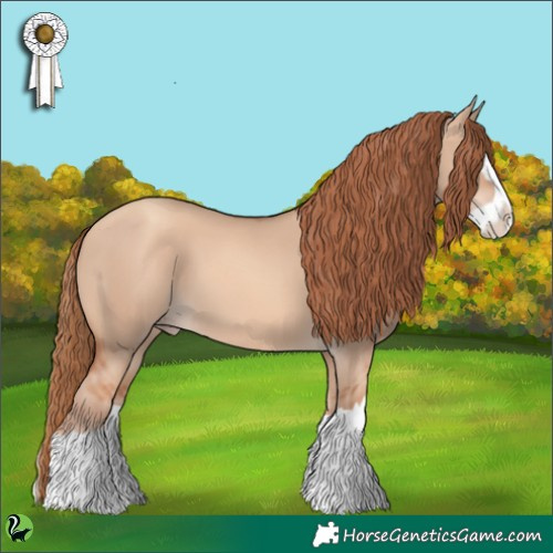 Horse Color:Gold Champagne Dun Splash 