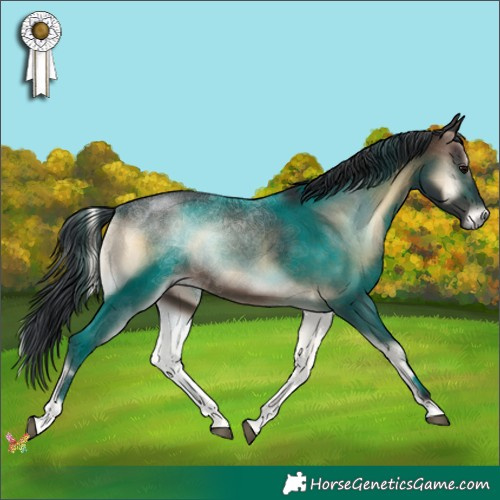 Horse Color:Brown Onyx 