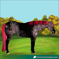 Horse Color:Void Painted Watercolor Smoky Black Ice Pearl Sabino Tobiano Rabicano 