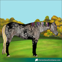 Horse Color:Void Painted Gold Champagne Ice Pearl Onyx Tobiano 