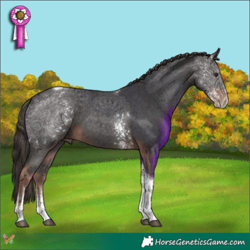 Horse Color:Liver Chestnut Sabino Tobiano 