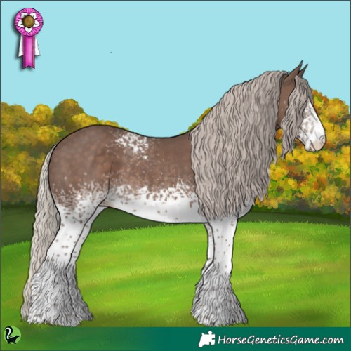 Horse Color:White Spotted Silver Black 