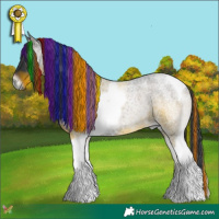 Horse Color:Painted Blue Onyx Roan Tobiano 