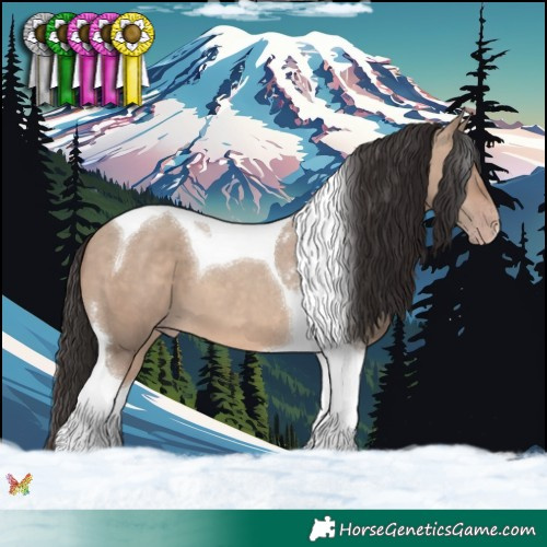 Horse Color:Sable Champagne Dun Tobiano 