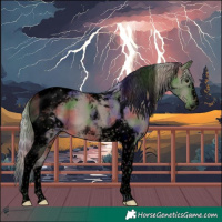 Horse Color:Void Nacre Silver Black Tobiano 