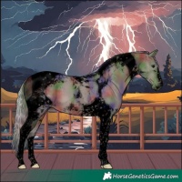 Horse Color:Void Nacre Silver Black Tobiano 