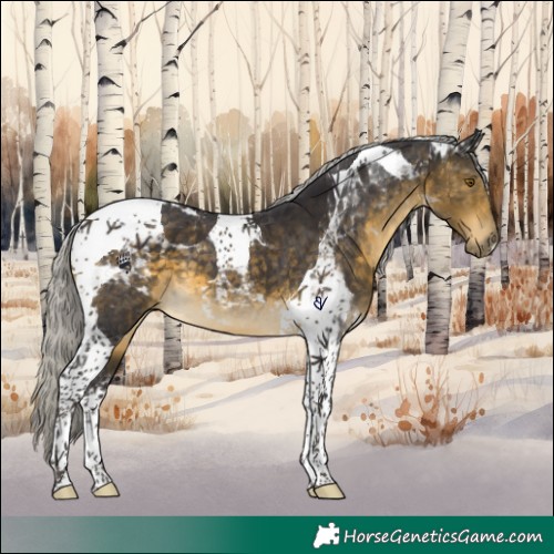 Horse Color:Silver Buckskin Tobiano 