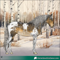 Horse Color:Silver Buckskin Tobiano 