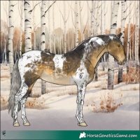 Horse Color:Silver Buckskin Tobiano 
