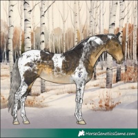 Horse Color:Silver Buckskin Tobiano 