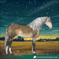 Horse Color:Silver Buckskin Dun Tobiano