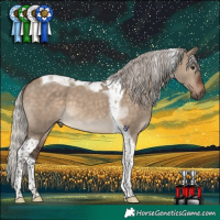 Horse Color:Silver Brown Dun Tobiano 