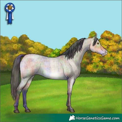 Horse Color:Nacre Buckskin Roan Dun Frame Rabicano Brindle 