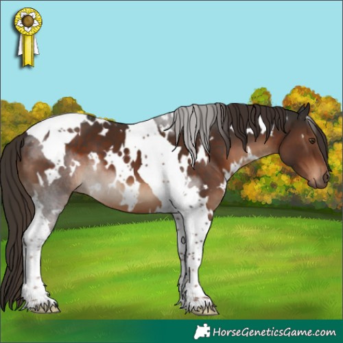 Horse Color:White Spotted Liver Chestnut Tobiano 
