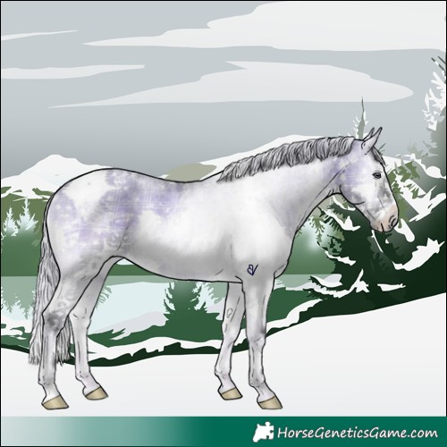 Horse Color:Plaid  Silver Brown Chinchilla Roan Onyx Splash Tobiano Rabicano 