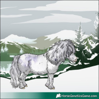 Horse Color:Plaid  Silver Brown Chinchilla Roan Onyx Splash Tobiano Rabicano 