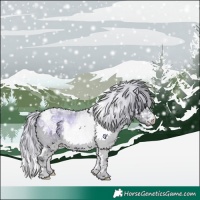 Horse Color:Plaid  Silver Brown Chinchilla Roan Onyx Splash Tobiano Rabicano 