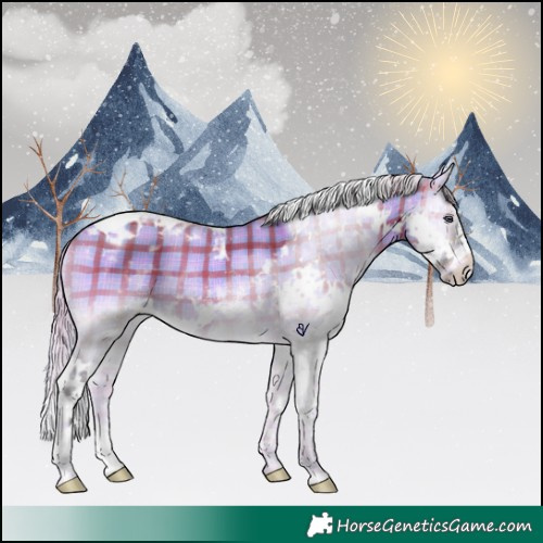 Horse Color:Plaid  White Spotted Silver Brown Chinchilla Onyx Splash Tobiano Rabicano 