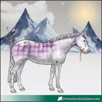Horse Color:Plaid  White Spotted Silver Brown Chinchilla Onyx Splash Tobiano Rabicano 