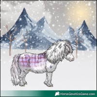 Horse Color:Plaid  White Spotted Silver Brown Chinchilla Onyx Splash Tobiano Rabicano 