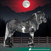 Horse Color:White Spotted Midnight Silver Brown Chinchilla Ice 