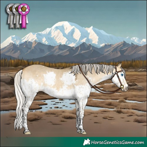 Horse Color:White Spotted Silver Buckskin Dun Splash 
