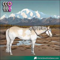 Horse Color:White Spotted Silver Buckskin Dun Splash