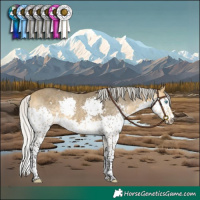 Horse Color:White Spotted Silver Buckskin Dun Splash 