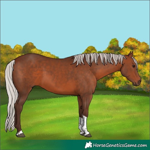 Horse Color:Silver Bay Tobiano