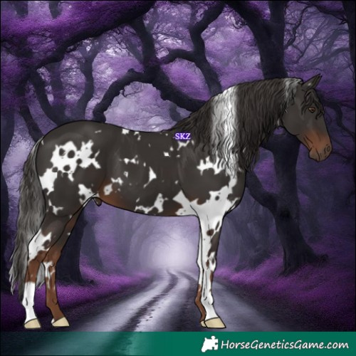 Horse Color:White Spotted Liver Chestnut 