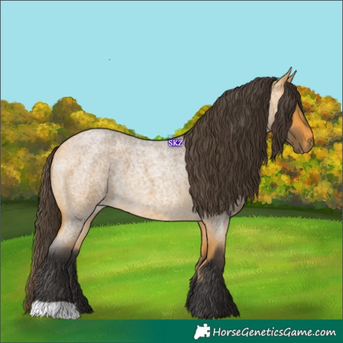 Horse Color:Buckskin Roan 