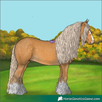 Horse Color:Palomino 
