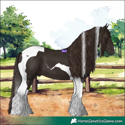 Horse Color:Liver Chestnut Tobiano 