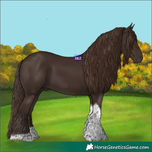 Horse Color:Liver Chestnut Tobiano 