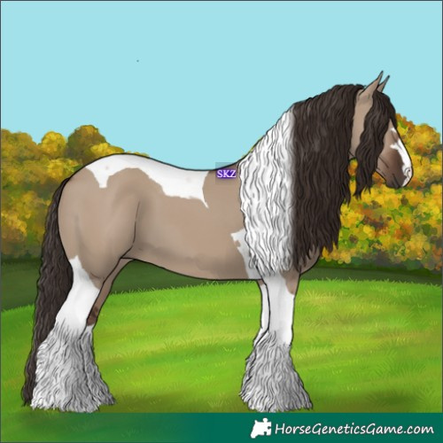 Horse Color:Liver Red Dun Tobiano 