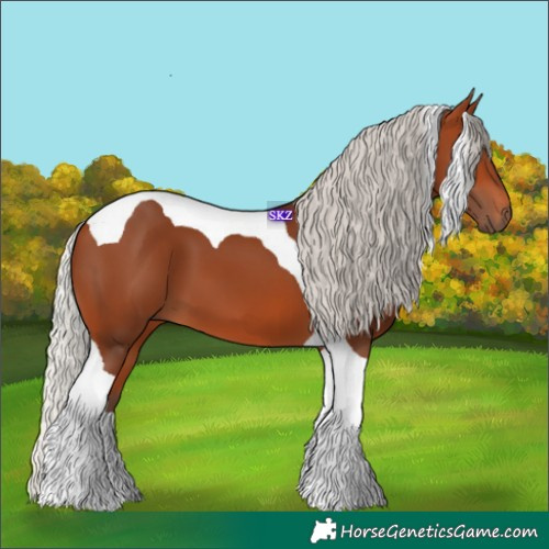 Horse Color:Silver Bay Tobiano 
