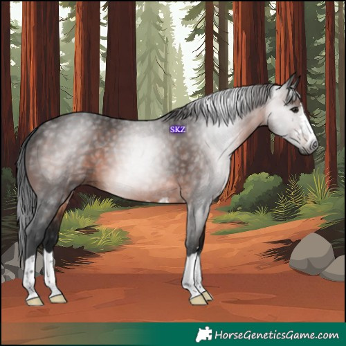Horse Color:Gray Brown 