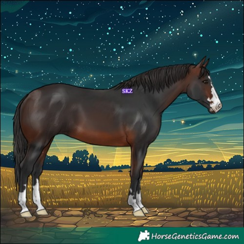 Horse Color:Brown 