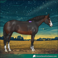Horse Color:Brown 