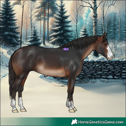 Horse Color:Brown 